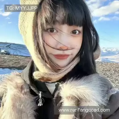 王秦准